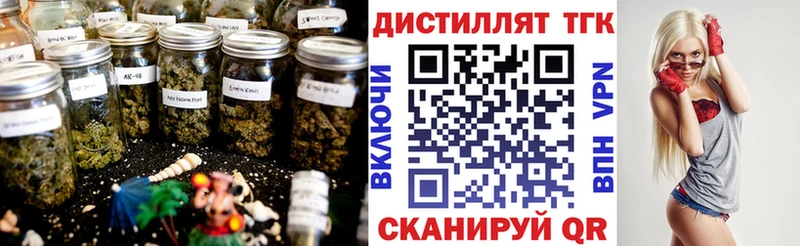 Купить  Уржум  ТГК концентрат 